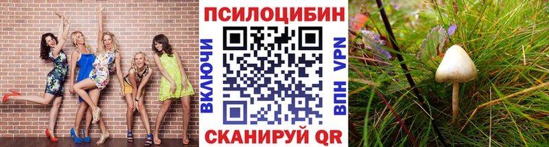 Псилоцибиновые грибы Psilocybe  Куса 